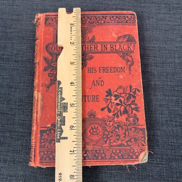 Our Brother in Black: His Freedom and His Future 1887 HAYGOOD, Atticus G. - Picture 15 of 16